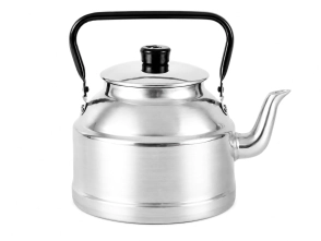 PAVA GASTRONOMICA